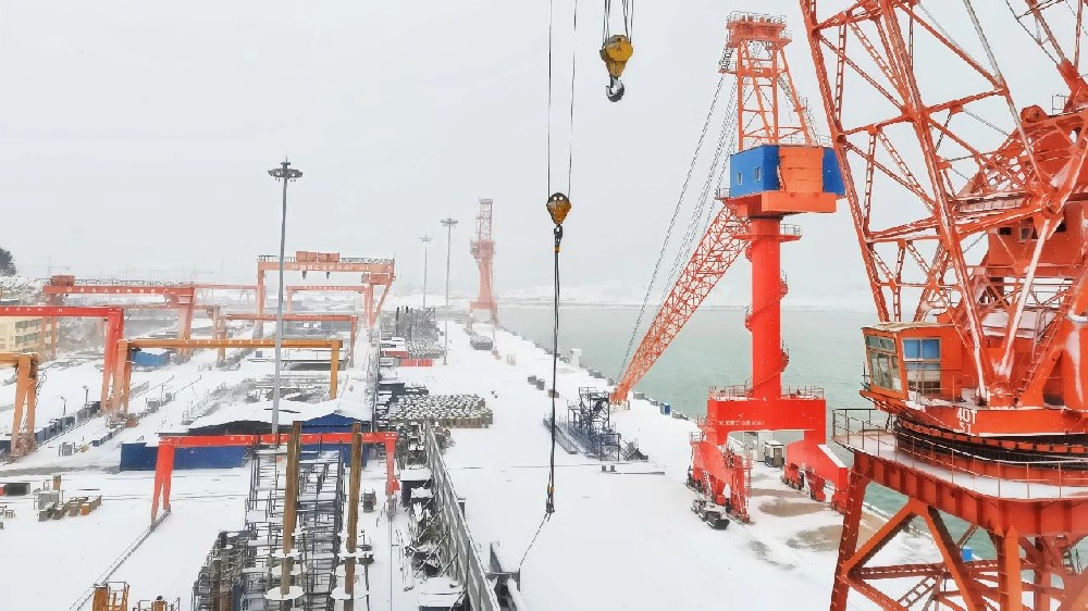 江苏尊龙中国官网散货公司：落实党代会精神，以“硬举措”赋能新程