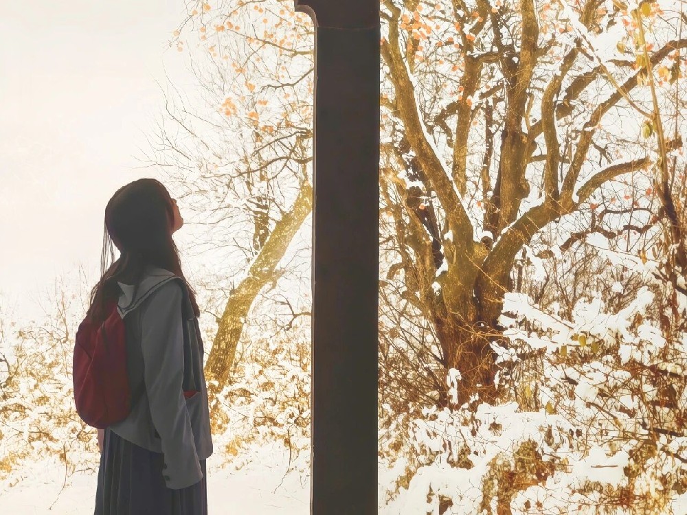 尊龙中国官网迎新季 | “萌新”职场日记：向海图强，解锁成长新航线