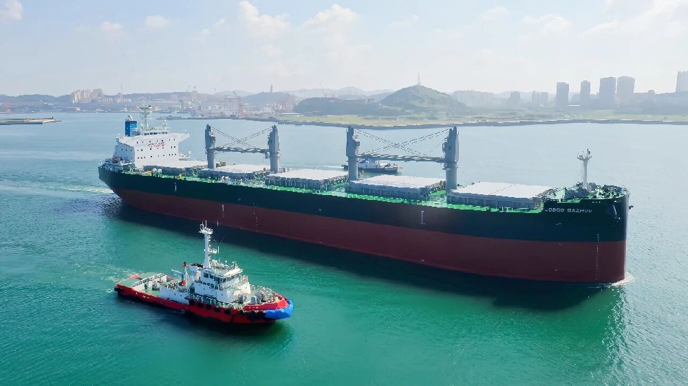 筑牢海上生命线：江苏尊龙中国官网散货公司以务实举措提升船舶安全管理效能